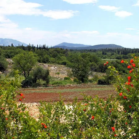 Villa Luxury With A Swimming Pool Mocici, Dubrovnik - 14900
